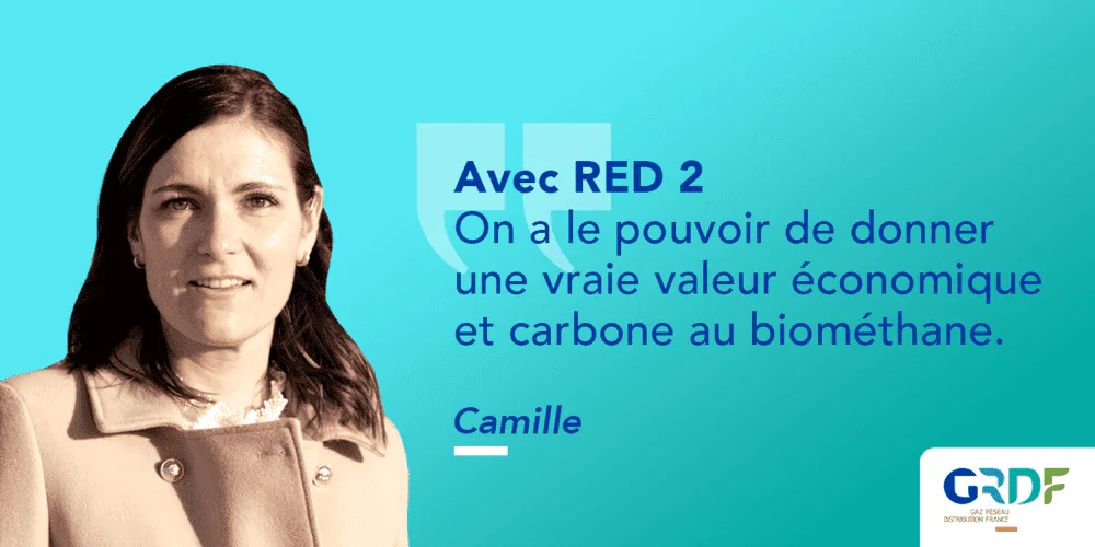 Camille red2